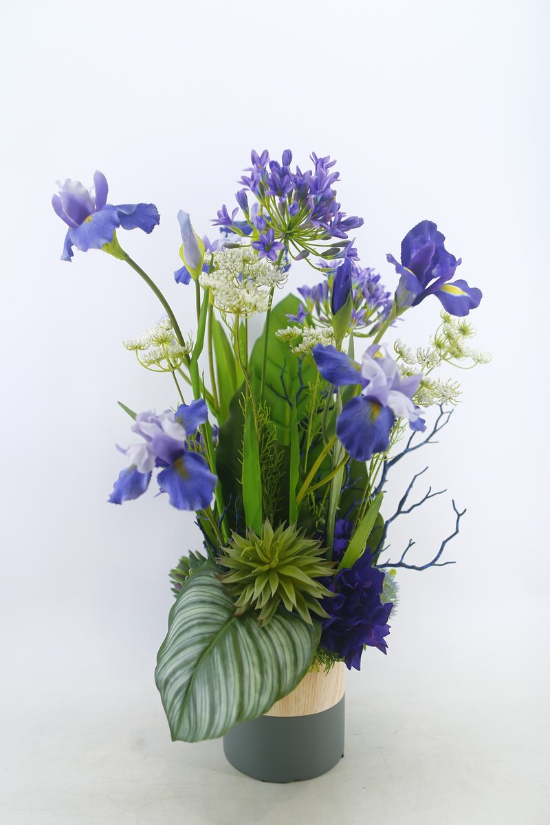 法式鳶尾花園花禮 免運專人配送限雙北市 其餘地區需補運費 - 盆栽/植栽 - 其他材質 紫色