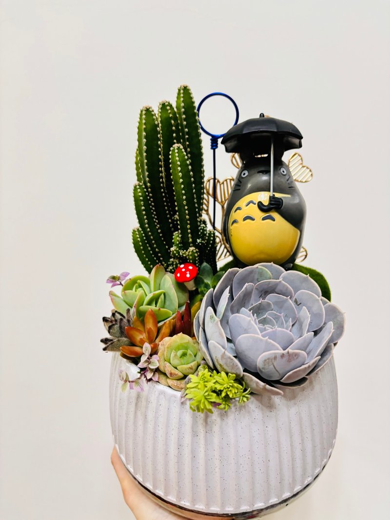 【體驗活動】Vita Design實體多肉組盆課程-造景進階送禮盆-小 - 植栽/花藝 - 水泥 