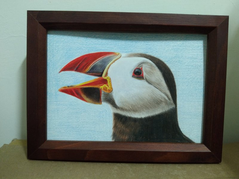 Decoration/ sea parrot/ colored pencil drawing/ original manuscript/ framed - โปสเตอร์ - กระดาษ 