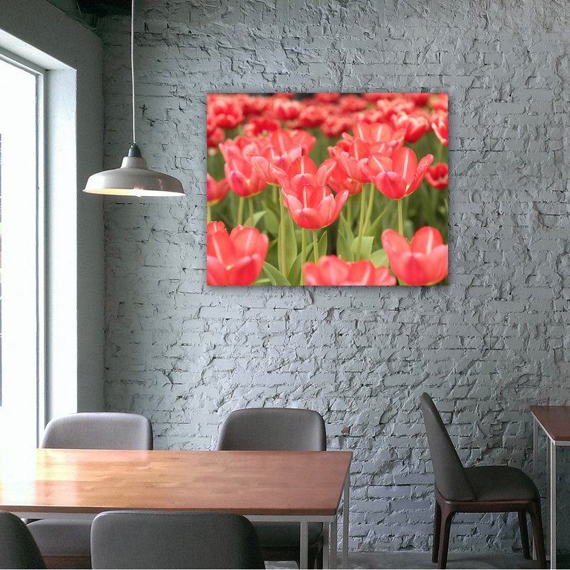 無框複製畫 |  多情鬱金香A0025 | K藝術家 - 海報/掛畫/掛布 - 其他材質 多色