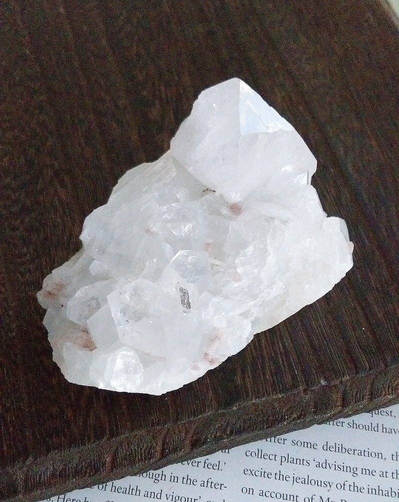 Apophyllite 印度產地 魚眼石 天然礦石 原礦 - 擺飾/家飾品 - 其他材質 