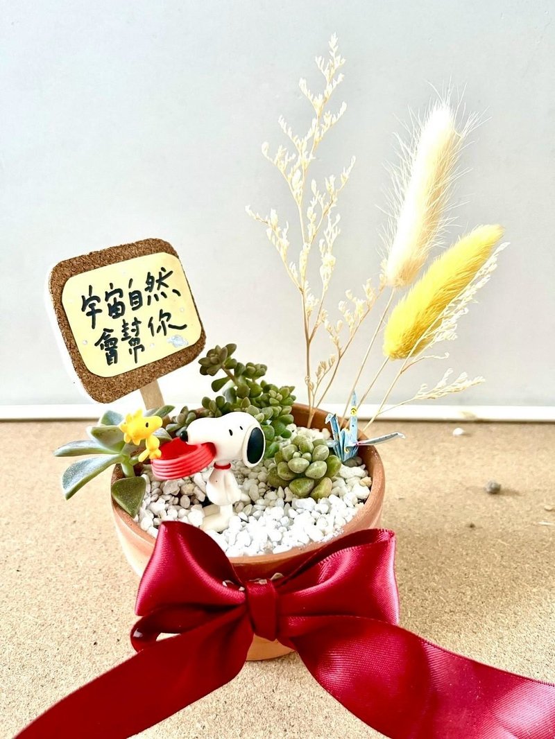 台中 多肉組盆 多肉植物 日式枯山水 微景觀 史奴比 SNOOPY 勵志 - 盆栽/植栽 - 植物．花 綠色