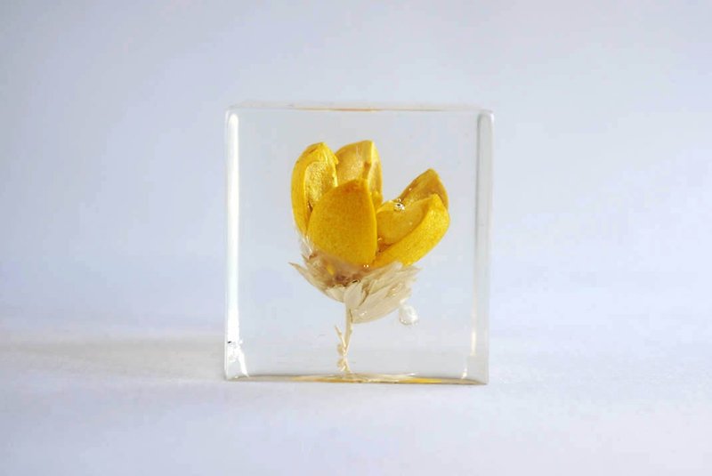 Not perfect series - dried flower yellow lagerstroemia fruit - three-dimensional square dry flower furnishings - Other - Plants & Flowers Yellow