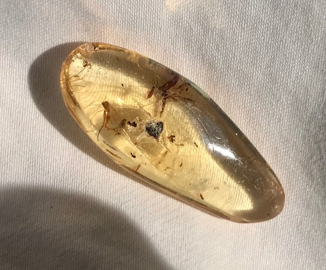 ☆ht☆美品！琥珀の置物 最高品質天然バルティックアンバー（Amber）琥珀 オーバルカット
