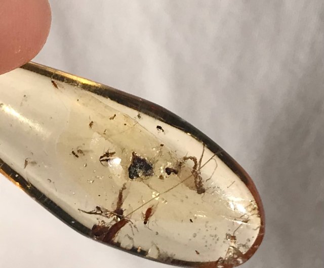 天然昆虫琥珀、蝋、琥珀、樹脂化石鉱物マーク、天然結晶氷透明