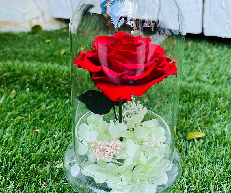 The Little Prince's Rose Full Transparent Micro Landscape Ecuador Immortal Glass Flower Cup - Items for Display - Plants & Flowers 