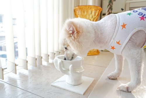 LAY PETS インテリアオブジェにもなるドッグフードスタンド ペットボウル 食器スタンド 小型犬 中型犬 ネコ オーダー可能