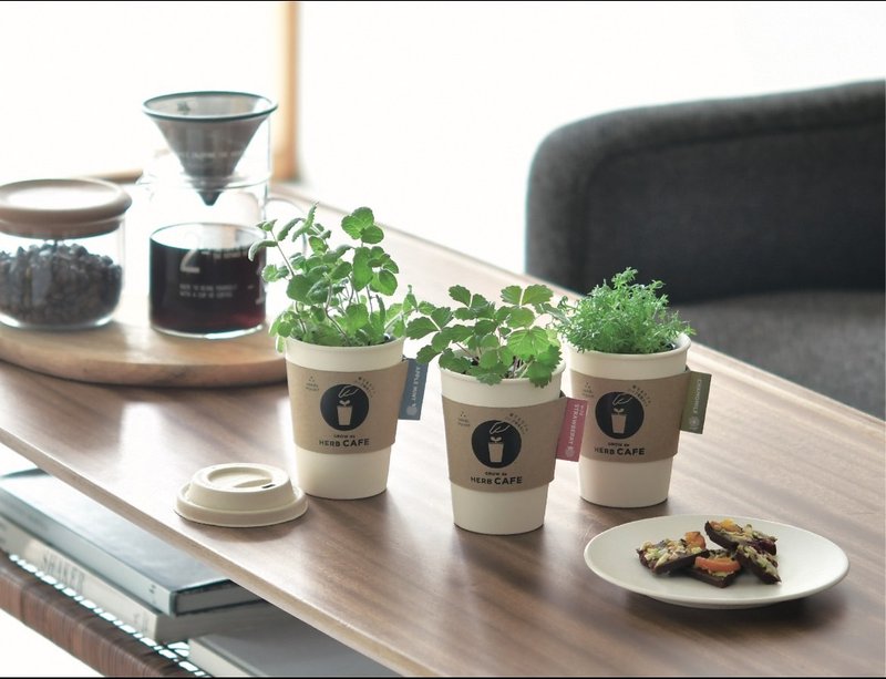 聖新陶芸Grow de HERB咖啡杯植物栽培組 - 盆栽/植栽 - 陶 