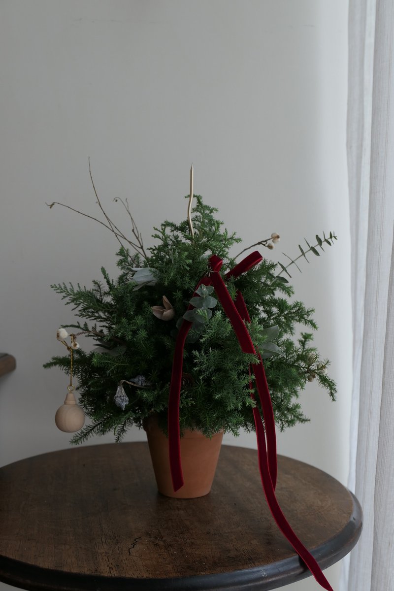 【好花】假裝是蛋糕的聖誕小樹 - 乾燥花/永生花 - 植物．花 綠色