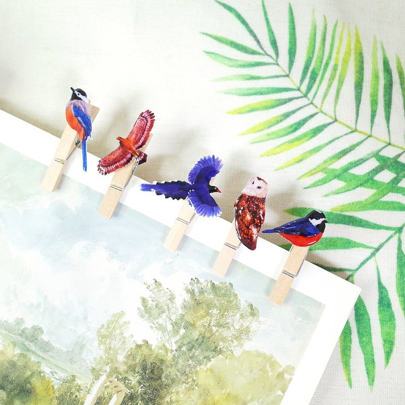 Taiwan Endemic Birds Wooden Clips 5 Types of Groups - ที่ตั้งบัตร - วัสดุกันนำ้ หลากหลายสี