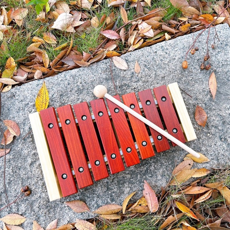 Xylophones - 12 keys - Kids' Toys - Wood 