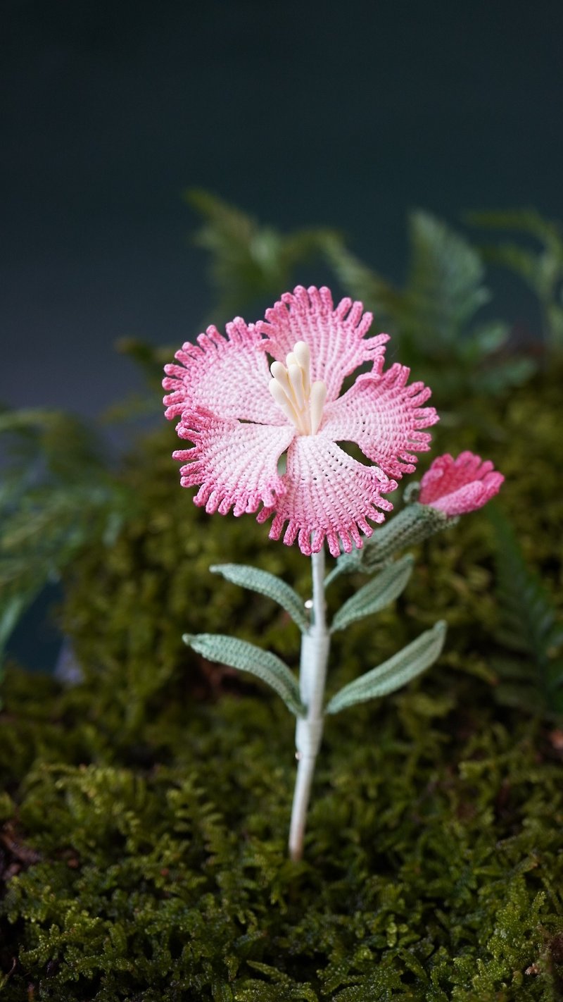 Dianthus Flower Crochet Literary Gift Brooch - Brooches - Thread Pink