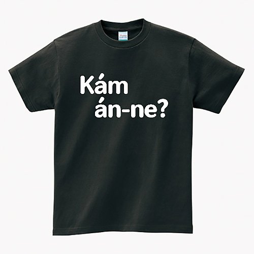 Tâi-gí Niau 台語貓 Kám án-ne 敢按呢 • 台語 T-shirt • 煙烏色