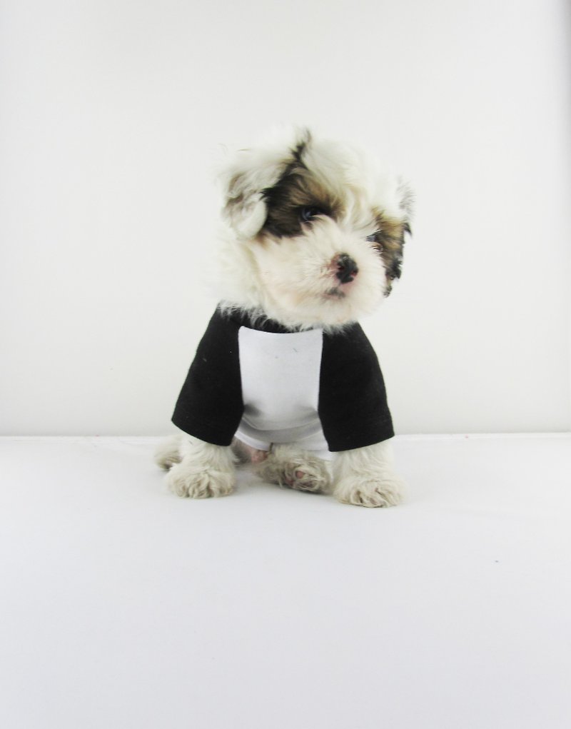 Black/White Contrasting Raglan Sleeves Cotton/Spandex Jersey Dog Tee,Dog Apparel - ชุดสัตว์เลี้ยง - ผ้าฝ้าย/ผ้าลินิน ขาว