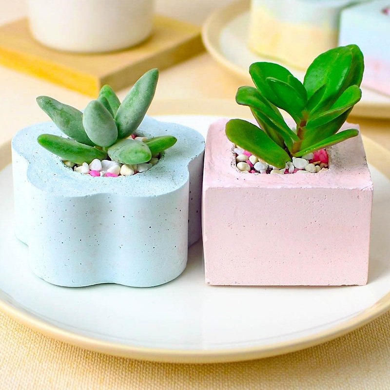 Cement potted plants | healing more meat: flower side 2 into (Maccaron monochrome) | without plants - ตกแต่งต้นไม้ - ปูน หลากหลายสี