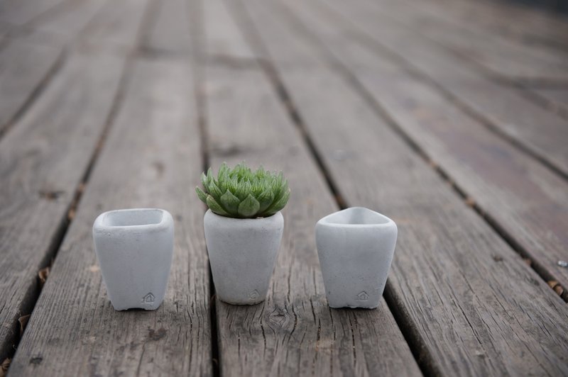 Cement utensils / geometric trio - Plants - Cement Gray