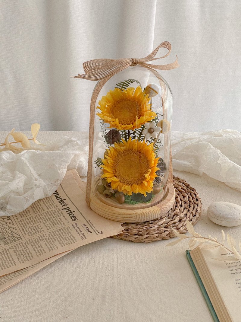 Xiangyang x never withered sunflower dried flower glass lampshade - ช่อดอกไม้แห้ง - พืช/ดอกไม้ 