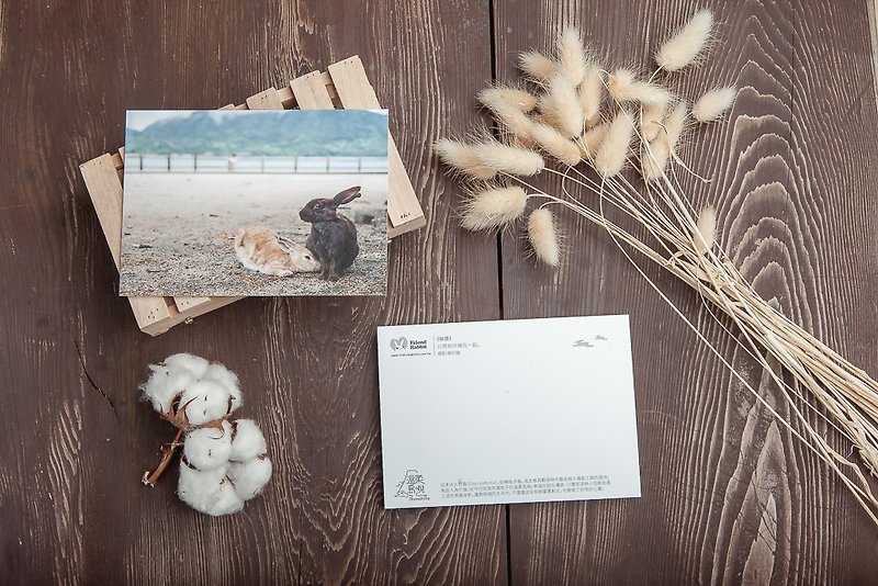 Rabbit Photography Postcard-Snuggle - การ์ด/โปสการ์ด - กระดาษ สีน้ำเงิน