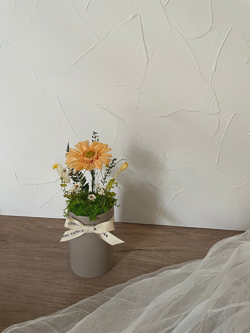 Japanese Everlasting Gerbera Flower Pot/Teacher’s Day/Graduation Gift/Exchange Gift - ช่อดอกไม้แห้ง - พืช/ดอกไม้ 