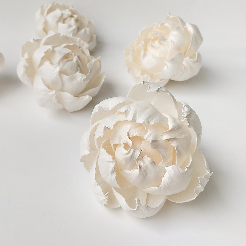 White Peony: Sola Wood Flowers | Flowerista by JePrada - Dried Flowers & Bouquets - Plants & Flowers White