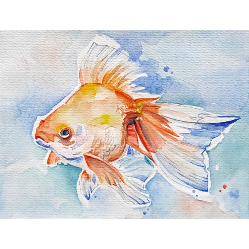 金魚 絵画 水彩画 オリジナル il_fullxfull.6916393971_1hiv.jpg