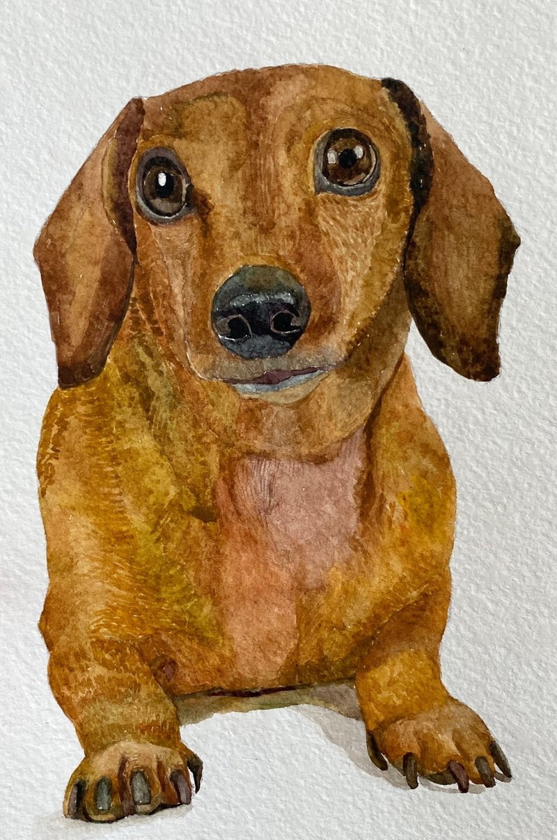 Pet Portrait Painting Custom , Dog Portrait Hand Painted Painting, Pet Portrait - 似顏繪/客製畫 - 紙 多色