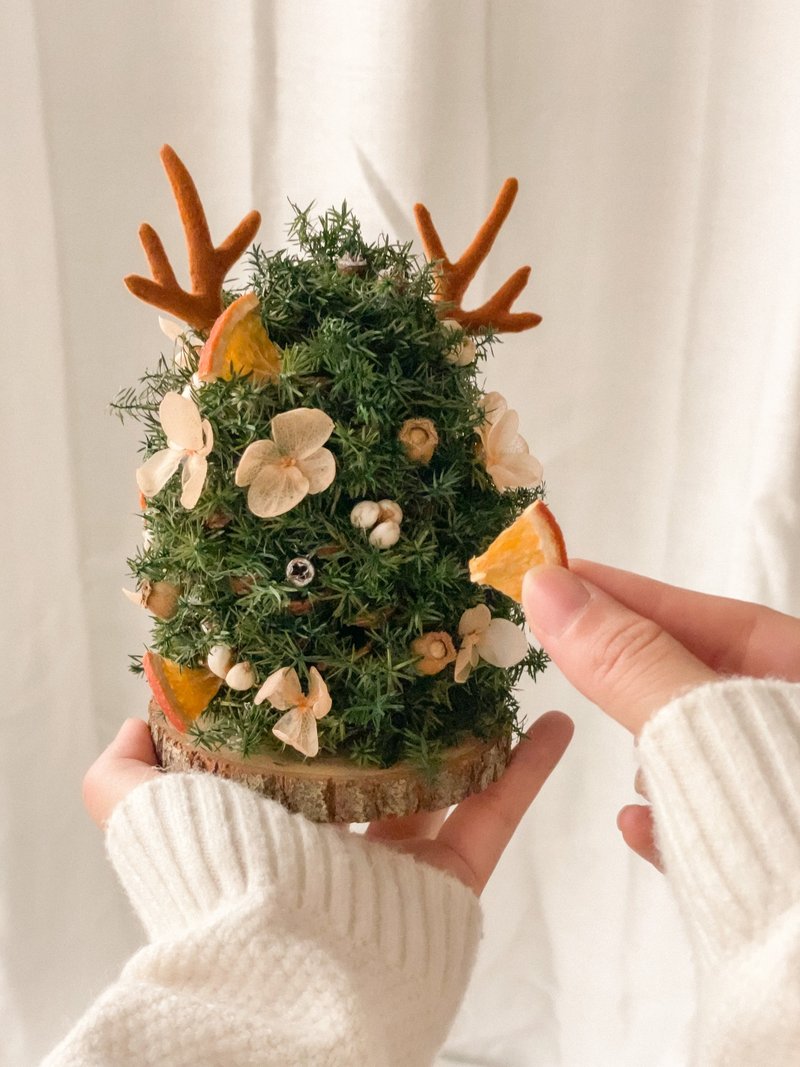 Handmade Antler Christmas Tree x DIY Christmas Tree with Permanent Dried Cedar Flowers - จัดดอกไม้/ต้นไม้ - พืช/ดอกไม้ 