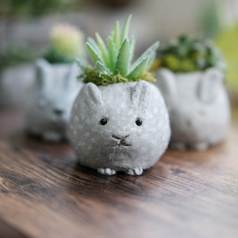 Cement Rabbit Potted DIY Material Pack Teaching Video Clay Plastic Potted Plant Experience Exchange Gifts Year of the Rabbit - Plants & Floral Arrangement - Cement Gray