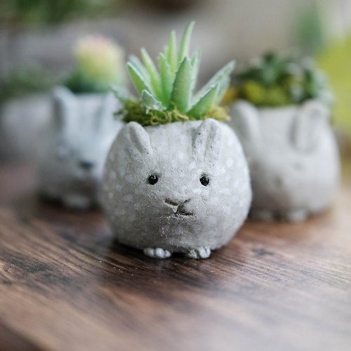 仰式漂浮 Daydream Crafts 水泥兔子盆栽 DIY材料包 教學影片 泥塑盆栽 體驗 交換禮物 兔年