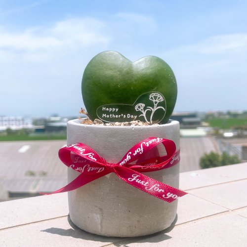 yitiart 畢業禮物 婚禮小物 告白愛心毬蘭 多肉小盆栽 情人節 生日 紀念