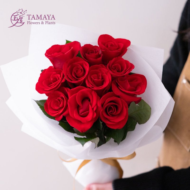 白 • 永恆 11朵 - 盆栽/植栽 - 植物．花 紅色