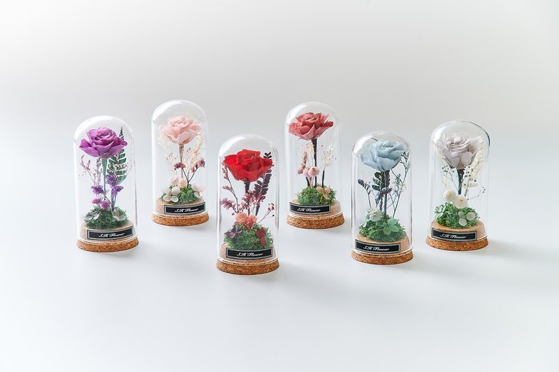 畢業花禮 小型玻璃永生花盅 小王子玫瑰花 - 乾燥花/永生花 - 植物．花 