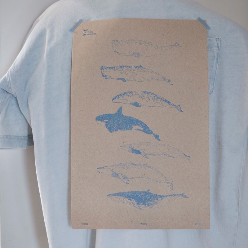 Summer Ocean Feedback / whale poster - โปสเตอร์ - กระดาษ สีกากี