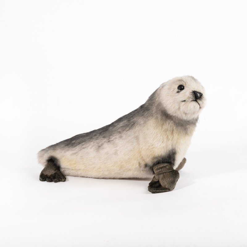 Hansa 6827 African Fur Seal 46cm - ตุ๊กตา - วัสดุอีโค สีกากี