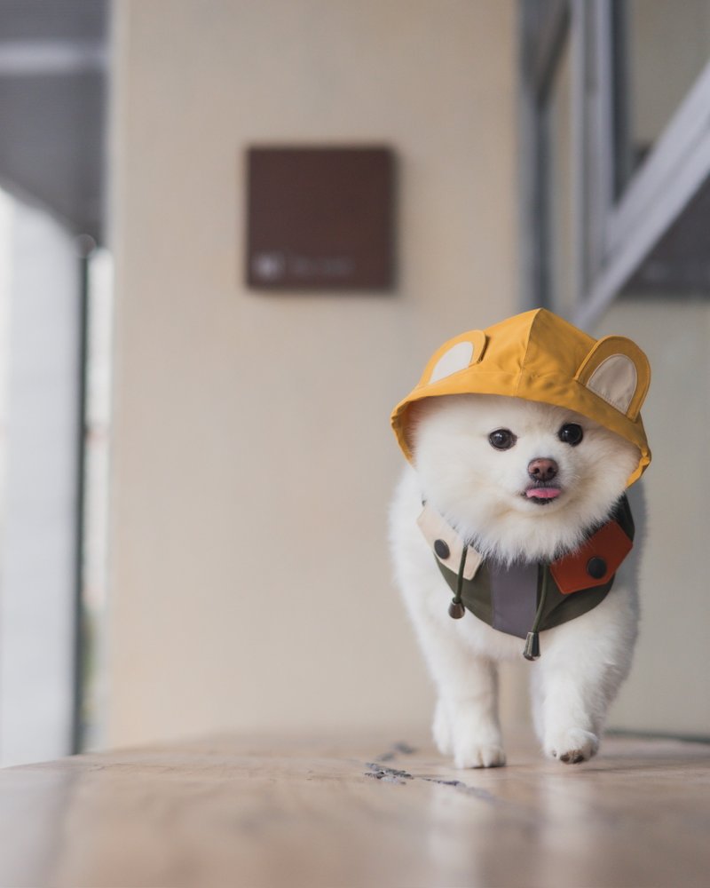 【Adventure-Inspired Playful Apparel for Pets】CAMPING BEAR  - ARMY - Clothing & Accessories - Other Man-Made Fibers Green