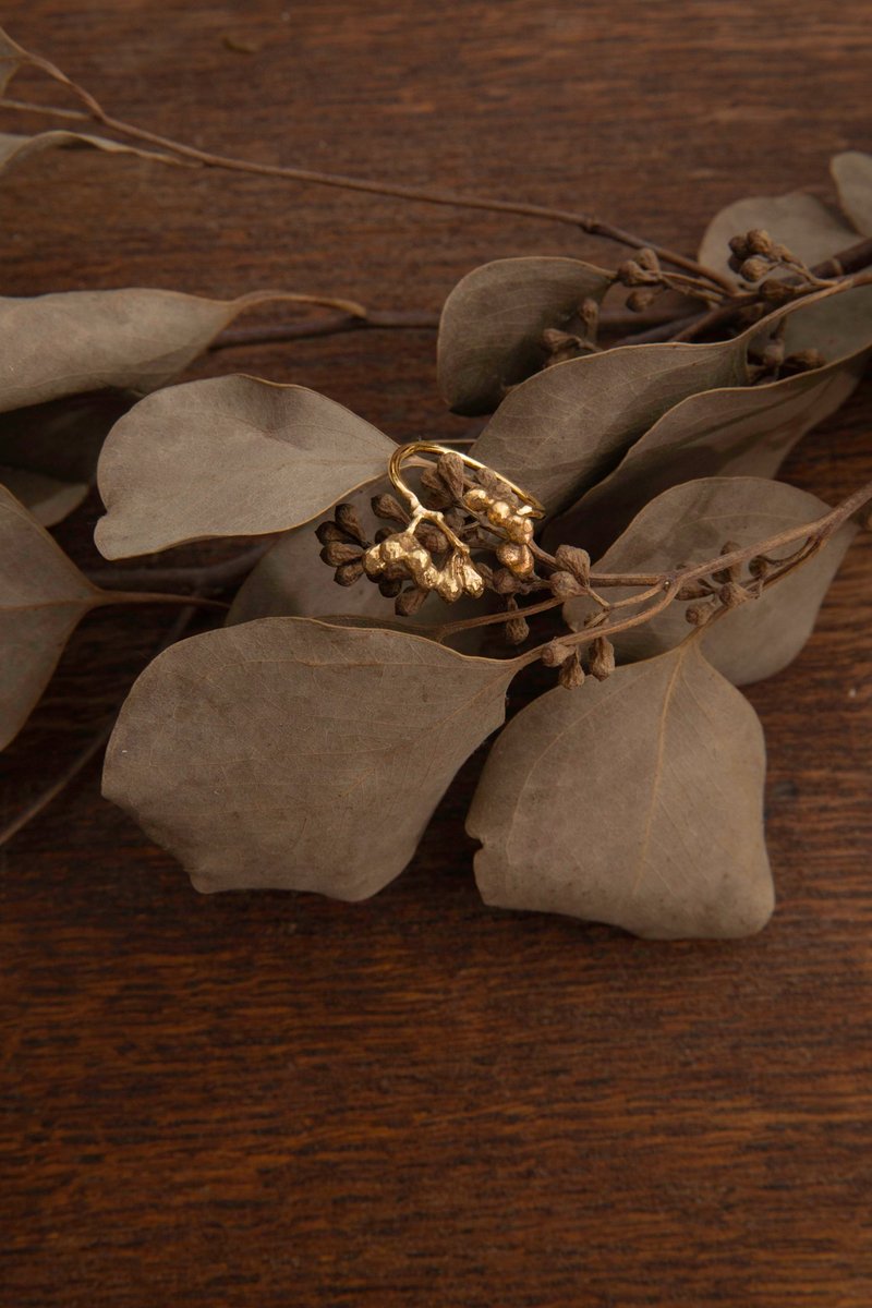 尤加利果戒指Eucalyptus Ring-華果初綻系列Pops&Buds Collection - 戒指 - 銅/黃銅 金色