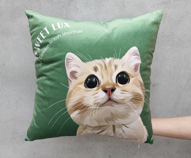 Pet 2024 face cushions