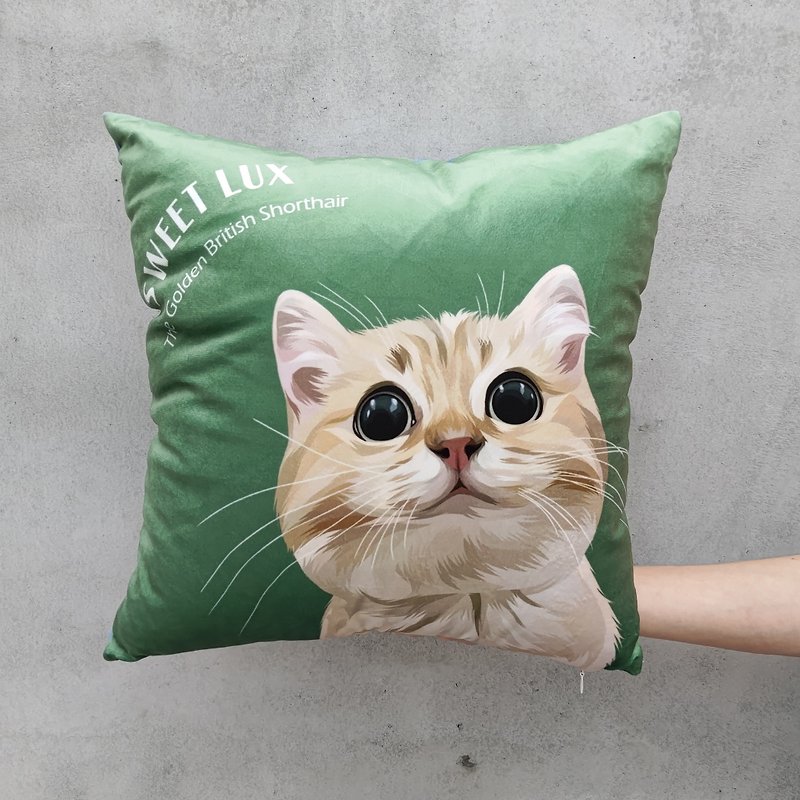 Pet cat and dog portrait like Yan painted square pillow texture Korean fluff