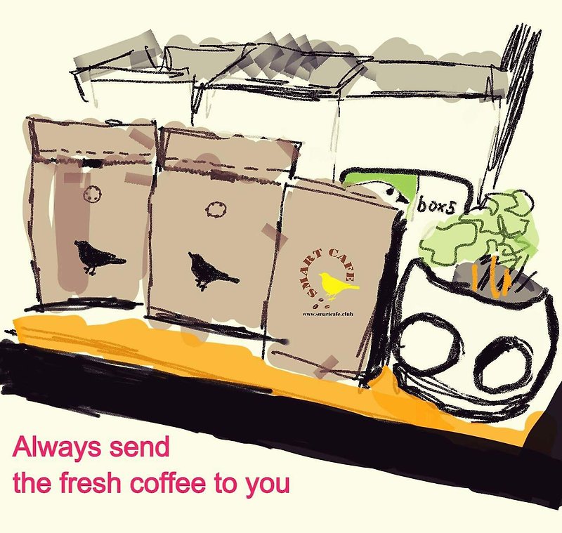 Smartcafe 咖啡豆小品系列 - 咖啡/咖啡豆 - 新鮮食材 白色