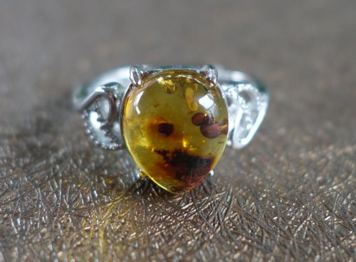 山奇藝術 Amber 琥珀 天然波羅的海 金珀 戒指 2.6克 植物珀 花珀 非二代