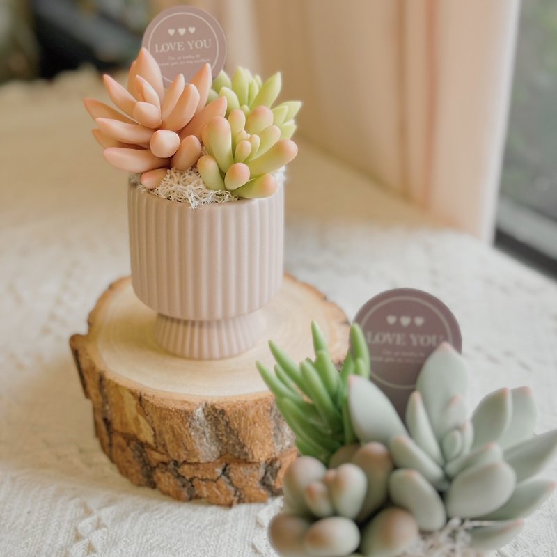 Small clay succulent garden-vertical pattern (small) comes with gift box and bag - ของวางตกแต่ง - ดินเหนียว สีเขียว