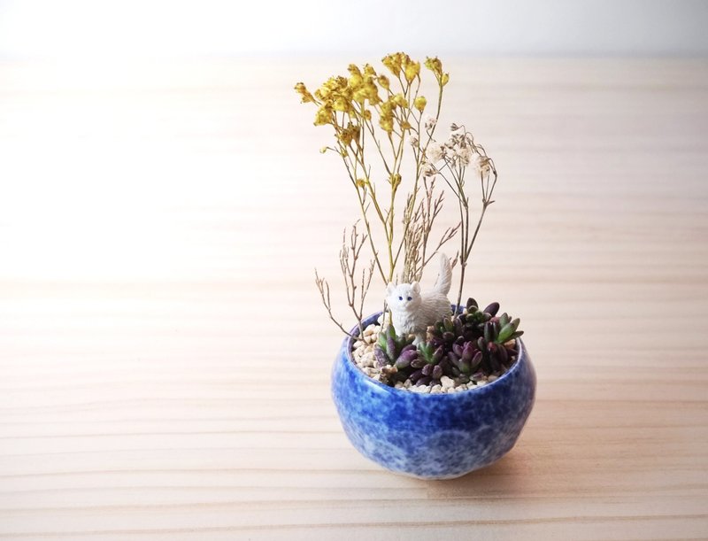 〈休息時間〉多肉植物 貓 盆栽  <Break> potted - 植栽/盆栽 - 瓷 藍色