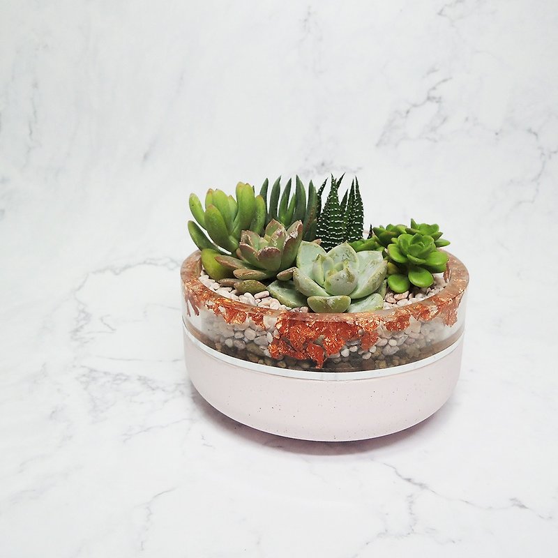 ∣Crystal clear pink Cement succulent plant ∣Handmade mud pot/succulent shaped plant/customized order - Plants - Cement 