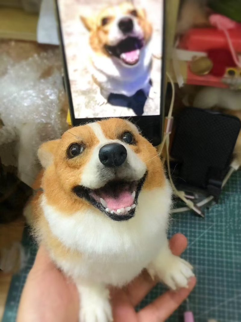 客製化逼真犬 羊毛氈 柯基犬 寵物 娃娃 定製 手工 狗狗猫咪   18 - 貓/狗玩具 - 羊毛 多色