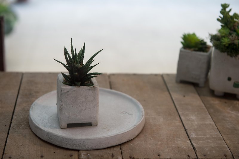 Cement ware / small bungalow - Plants - Cement Gray