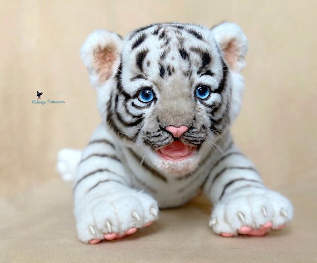 海外作家様作 アートドール ホワイトタイガーの赤ちゃん