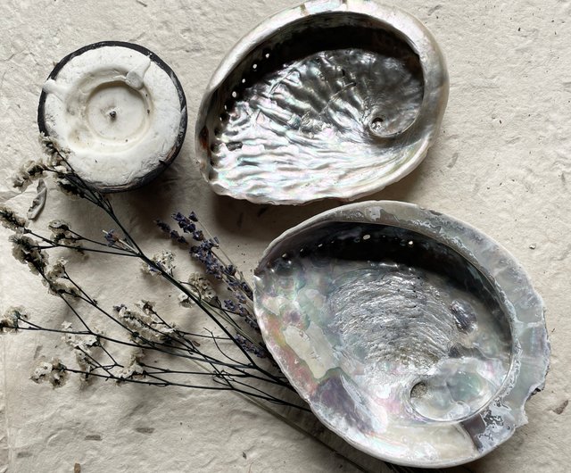 アワビの貝殻 聖なる木 / セージ / 香の塔 - ショップ moriaroma