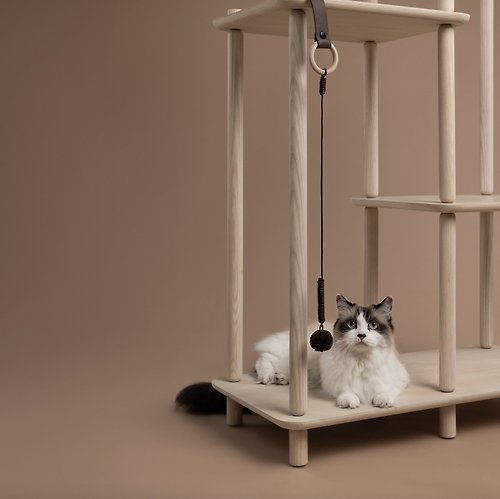 LOVE PET FAMILY 加拿大 PAPUK 貓跳台爬架逗貓棒 Connect Toy