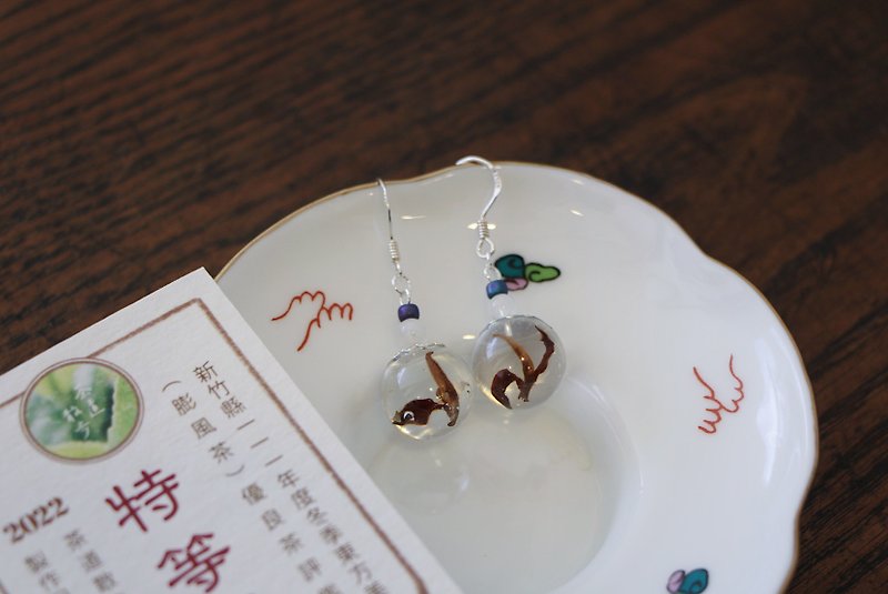 Beauty's Earrings-Special Prize o2 - Earrings & Clip-ons - Resin Transparent