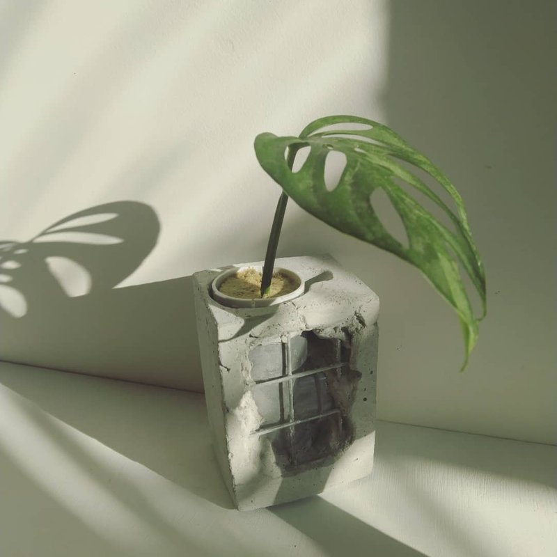 水管水耕重生泥盆 - 盆栽/植栽 - 水泥 灰色